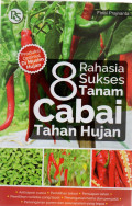 8 Rahasia Sukses Tanam Cabai Tahan Hujan