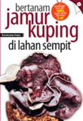 Bertanam Jamur Kuping di Lahan Sempit