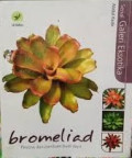 Bromeliad Pesona dan Panduan Budidaya