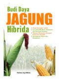 Budi Daya Jagung Hibrida