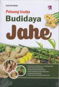 Peluang Usaha Budidaya Jahe