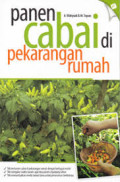 Panen Cabai di Pekarangan Rumah