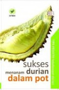 Sukses Menanam Durian Dalam Pot